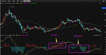 哪个炒股软件里有MBSS量柱指标吗