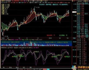 不同的炒股软件为什么给出的个股信息数据出入很大？坑人呀？跪求好心前辈介绍一款好点的！先谢谢了！