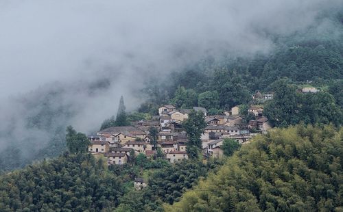 云雾中的神仙山村,主要走复古路线,成为摄影爱好者的观光好去处