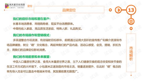 大米姐品牌营销策划案商业计划书精品模板.ppt