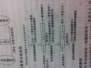 观察质壁分离时,洋葱鳞片叶不是死细胞吗,为什么能质壁分离 