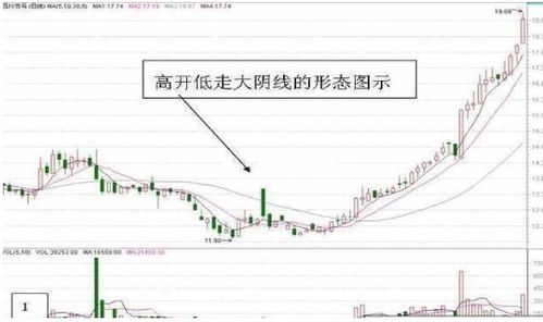 头天开盘封涨停第二天平开低走收大阴线