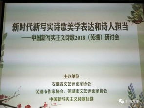 新写实诗歌美学表达和诗人担当 中国新写实主义诗歌2018研讨会在芜湖胜利召开 