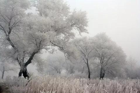 大雪过后冬至寒,头条好友们,出门注意保暖