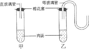 巴斯德探究肉汤为什么会变质中，为什么要用2个烧瓶。你有什么办法来研究这个问题。速答