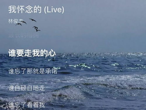 抖音等风来季风吹向大海是什么歌 等风来等风吹向大海(图3)