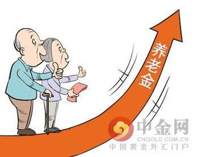 社保养老金怎样发放(养老保险费社会化发放)