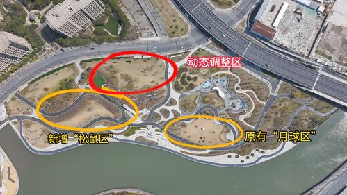 苏河公园停车场收费不免费,上海半马苏河公园地址