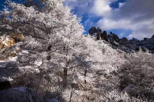 作为青岛人,崂山你知道多少