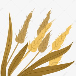 手绘秋天金黄的麦穗3素材图片免费下载 千库网 