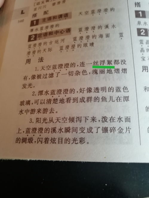 麻利的解释词语是什么（麻利点是什么意思？）