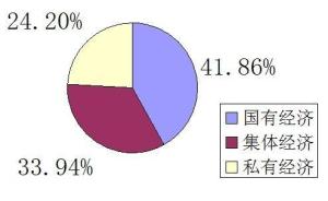 股份有限公司公司属于混合所有制经济吗