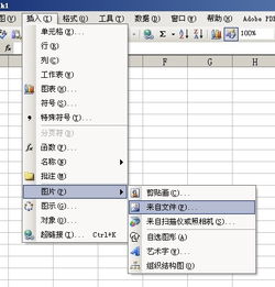 美图看看的图片怎么放到EXCEL 