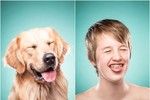 狗子越养越像自己 人模仿狗狗的表情,相似度简直了