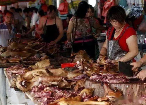 残忍地区每年吃掉三十万只狗,揭秘全球最大的肉狗市场