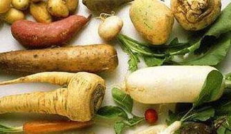 根类蔬菜有哪些种类属于根菜类的蔬菜品种
