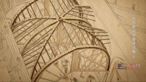巴黎圣母院拱顶修复,回收石块上的神秘凹槽有什么作用