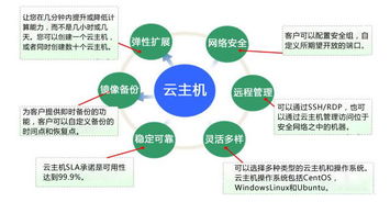 云主机有哪些特点