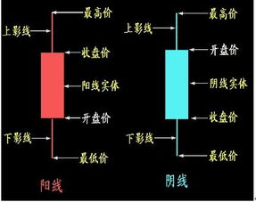 如何在网上买股票？网上交易系统的地址是？什么软件比较好？