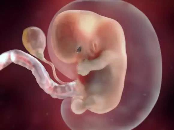 原创胎儿的排泄物都去哪了？孕妈可能觉得有点恶心，但其实是正常的！