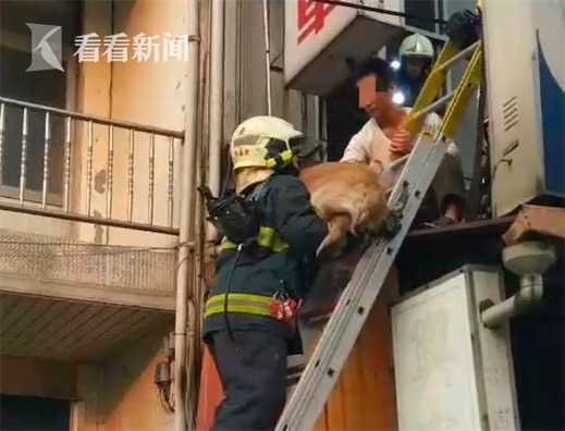 一家四口火灾被困 消防员被要求 先救狗否则不下去 