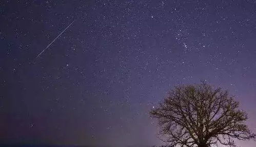 我等到双子座流星雨啦