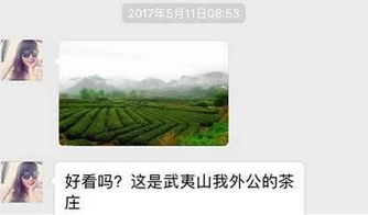 双十一网购茶乱象频出,现在买个口粮茶有这么难吗