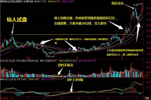 股票里先人指路，图标说一下?