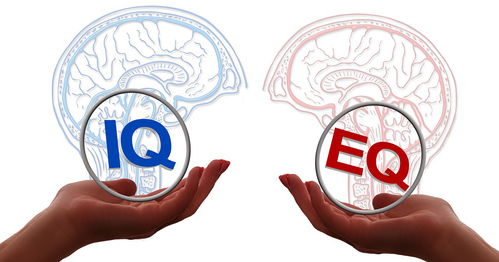你知道什么决定着情商的高低吗 了解这个你将开启成功