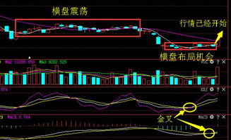 我把几十亿买一样的股票 然后这支股票的反应是什么