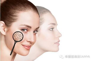 女人在20岁以后需要遵守的护肤法则 搜狐时尚 搜狐网 