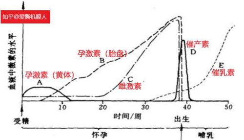 人体温什么时间高