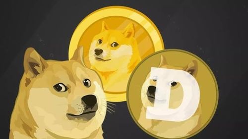 doge是什么币种