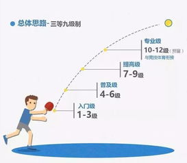 关注 体育项目等级标准出台, 青少年运动技能等级标准 发布 