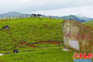 其他地方奶源搞坏南山牧场名声