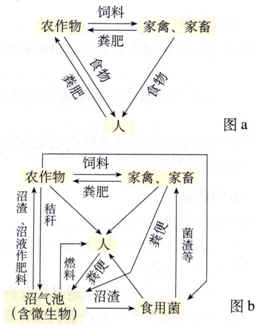 下列维度属于决策判断方式的是()(2.0分)