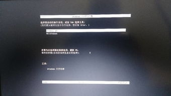 win10如何不让集锦显示