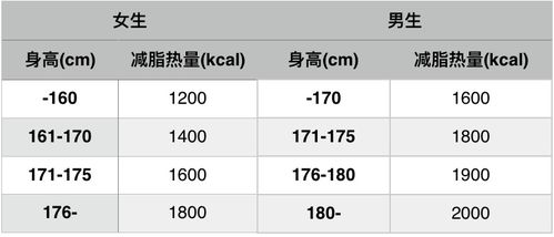 小白减脂第一步 什么才是真正的减脂餐