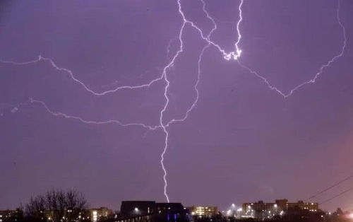 印度东部发生雷暴大雨,十多人遭雷电袭击死亡