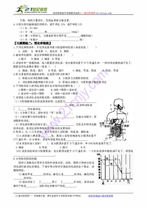 专题复习 新陈代谢下载 生物 