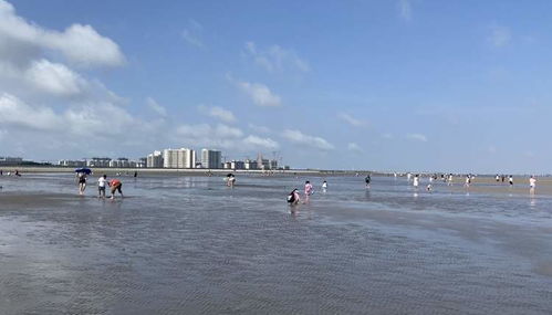 台山浪琴湾海滩免费停车场珠海的金沙滩与台山的浪琴湾,哪一个好玩 急需解决...