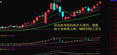 低位锤头线图片