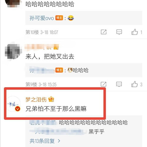 当下 黑粉 有多猖狂 画图 嘲讽 梦泪相貌,难怪梦泪都来评论