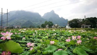 收获满满 美味河鲜 美景,不枉此行