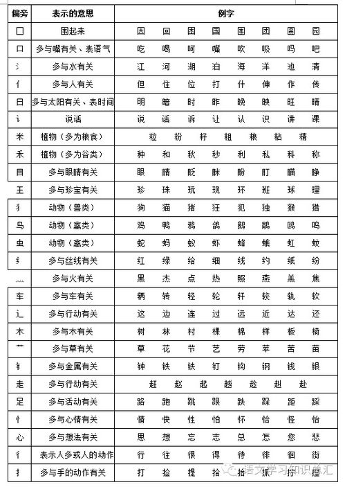 重查：汉字部首查询的终极解决方案