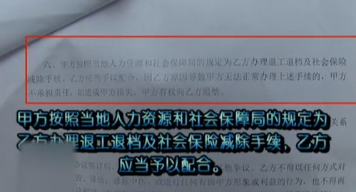 女子离职后要续社保,却因没有中断不能续保,女子 谁在帮我交纳