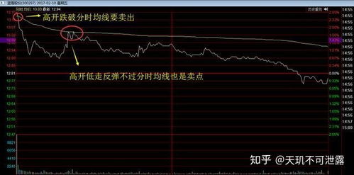 股票t+0什么意思?