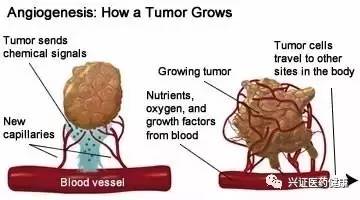 兴医药 新视野 全球首个CO小分子药物问世,首个癌症疫苗进入临床试验 2017.04.17 2017.04.23 