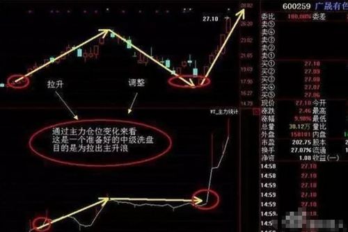 请问庄家，机构是怎样分析股票，以及怎样估值？请位高手回答