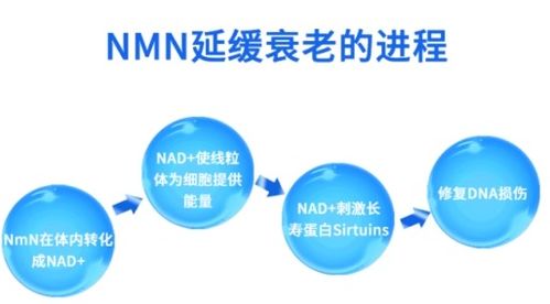 金达威和南方私募哪个好